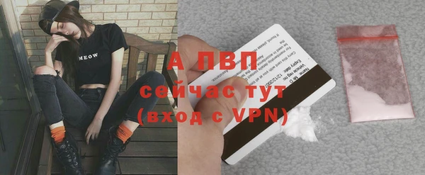 стафф Армянск