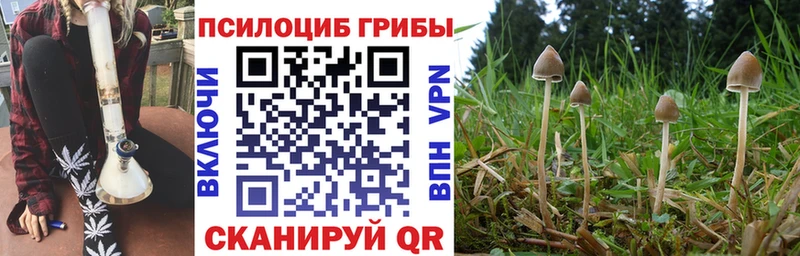 Псилоцибиновые грибы ЛСД  Удомля 